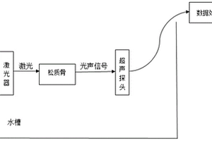 利用光声时域信号评估骨质弹性模量的方法