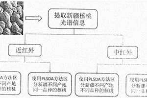 基于红外光谱技术对新疆核桃产地区分的方法