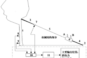 树木抓地力的无损检测装置与检测方法