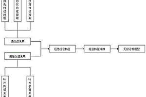 偏振高光谱图像采集系统