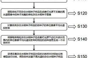 基于高光谱的单粒杂交水稻种子种类鉴定方法