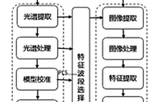 基于高光谱转基因玉米籽粒的识别装置与方法