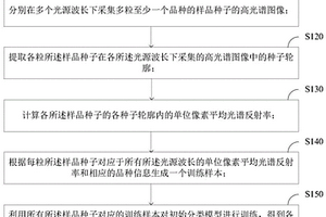 种子品种鉴定模型的生成方法、鉴定方法及装置