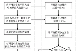 小麦赤霉病染病籽粒识别的光谱病害指数构建及应用