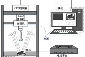 基于信息融合的中华绒螯蟹品质等级判别方法