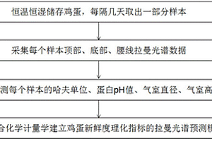 基于拉曼光谱技术的鸡蛋新鲜度无损检测方法