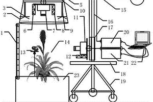 设施作物生长信息无损检测装置