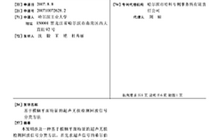 基于模糊平面特征的超声无损检测回波信号分类方法