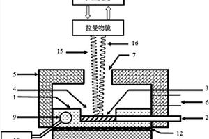 基于变温拉曼技术的有机物高效无损检测装置