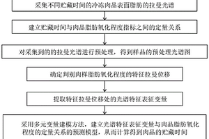 冷冻肉品贮藏时间的无损快速检测方法