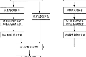 基于高光谱图像技术的干燥毛豆多品质无损检测方法