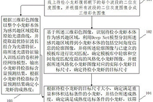 小龙虾品质无损检测方法及装置