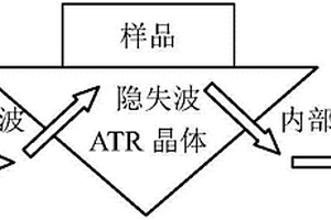 鲜肉新鲜度K值的THz光谱快速无损检测方法