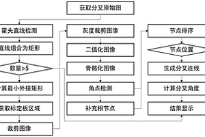 茄子茎夹角无损检测方法