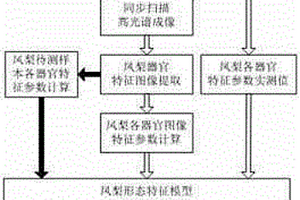 基于高光谱同步扫描成像技术的凤梨无损检测装置及方法