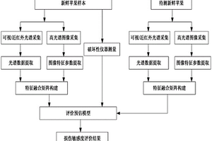 基于多传感器融合的新鲜苹果损伤敏感度无损检测方法