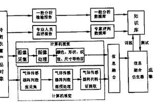 基于电子视觉和嗅觉融合技术的农畜产品无损检测方法及其装置