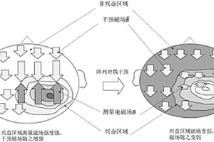 非接触非侵入无损伤的癫痫对偶互补方式监测预警干预系统及获取干扰脑电分布的方法