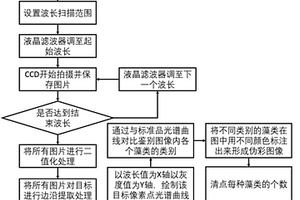 用于藻类鉴别和藻类增殖无损监测情况的方法