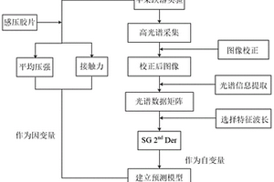 基于高光谱的苹果冲击后损伤参数的无损预测方法