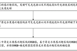 基于智能手机的薄皮水果糖度无损测量方法及系统