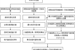 基于颜色和深度信息的穴盘苗长势无损监测方法和装置