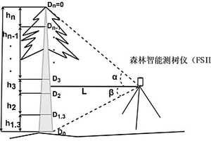 适用于中小型乔木的单株立木材积无损测定方法