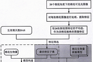 基于图像分析的多品种全生育期棉花生物量无损测量方法