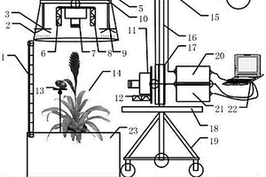 设施作物生长信息无损检测装置和方法