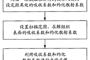 对人体皮肤病变组织进行无损光学常数成像的装置和方法