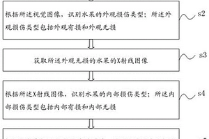 水果状态无损识别方法