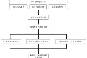 无损免标记快速乳腺癌拉曼光谱病理分级分期方法