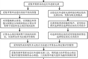 苹果水心病的透射光谱无损定量评价方法