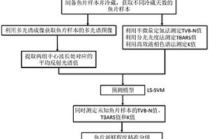 近红外多光谱成像多指标协同的鱼片新鲜度无损评价方法