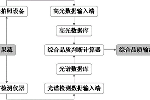 高光拍照和无损光谱扫描判断果蔬品质的系统