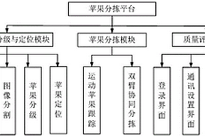 苹果智能无损分拣的方法