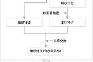 基于矢量地理线数据组织特征的无损水印方法