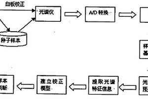 用可见光和近红外光谱技术无损鉴别作物种子品种的方法