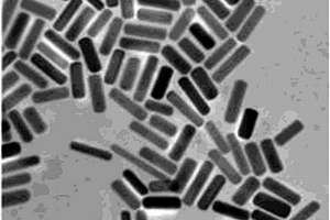 使用细胞无损型银纳米粒子评价烟气暴露对细胞损伤的方法