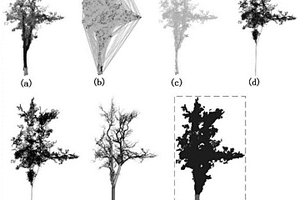 无损估算立木材积的低成本树木结构自动重建方法