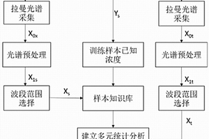 基于拉曼全谱分析的无损快速胆维丁含量定量方法