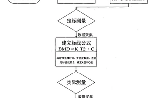 用磁共振T2弛豫时间谱分析测定骨密度的设备和方法