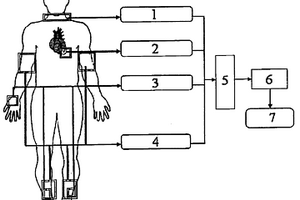 检测心血管系统功能状态的方法和装置