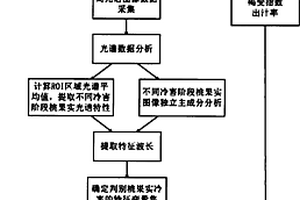 高光谱图像检测桃果实冷害的装置和方法