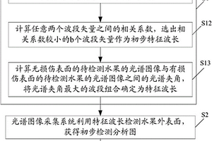 确定水果外表进行光谱图像分析检测所用特征波长的方法