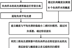 基于特征波段的鱼肉嫩度高光谱检测方法