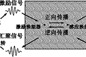 基于时间逆转导向波的损伤检测方法