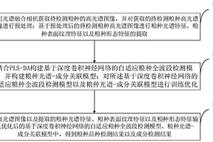 基于高光谱的种子品种品质检测方法、系统