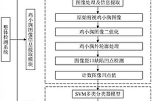 羽化鸡小胸品质检测方法及分级系统