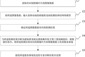 基于深度学习的柑橘黄龙病检测方法、装置及系统